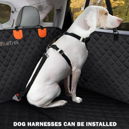 Hard bottom Car Dog Seat Protector