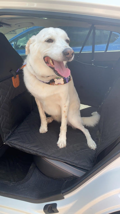 Hard bottom Car Dog Seat Protector