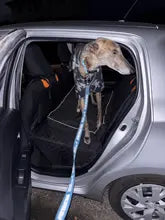 Hard bottom Car Dog Seat Protector
